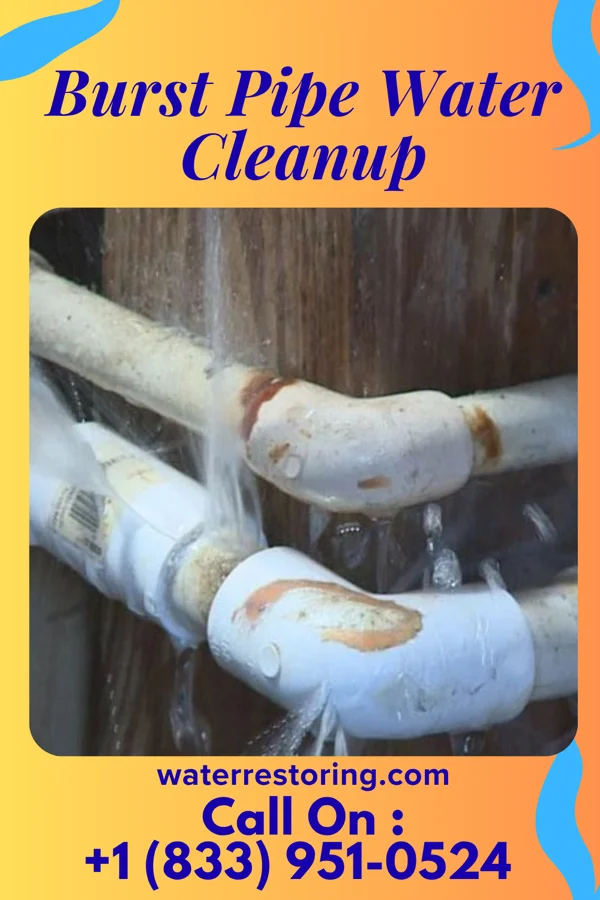 Burst Pipe Water Cleanup in Prospect, KY