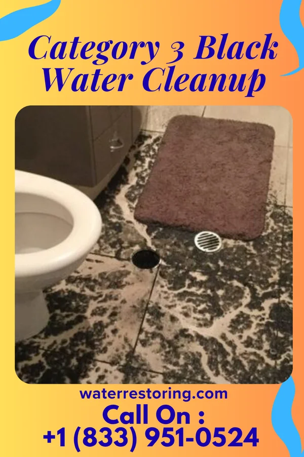 Category 3 Black Water Cleanup in Prospect, KY