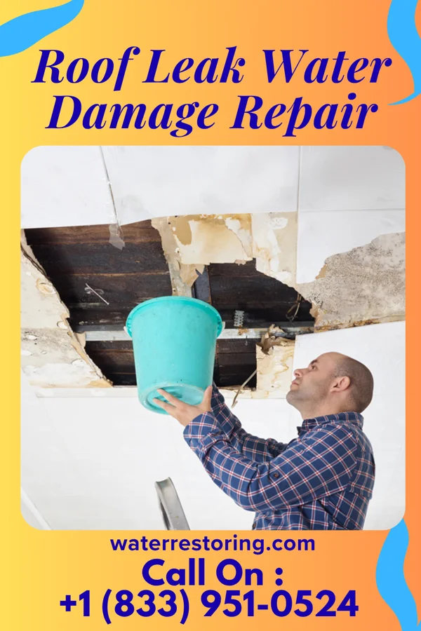 Roof Leak Water Damage Repair in Prospect, KY
