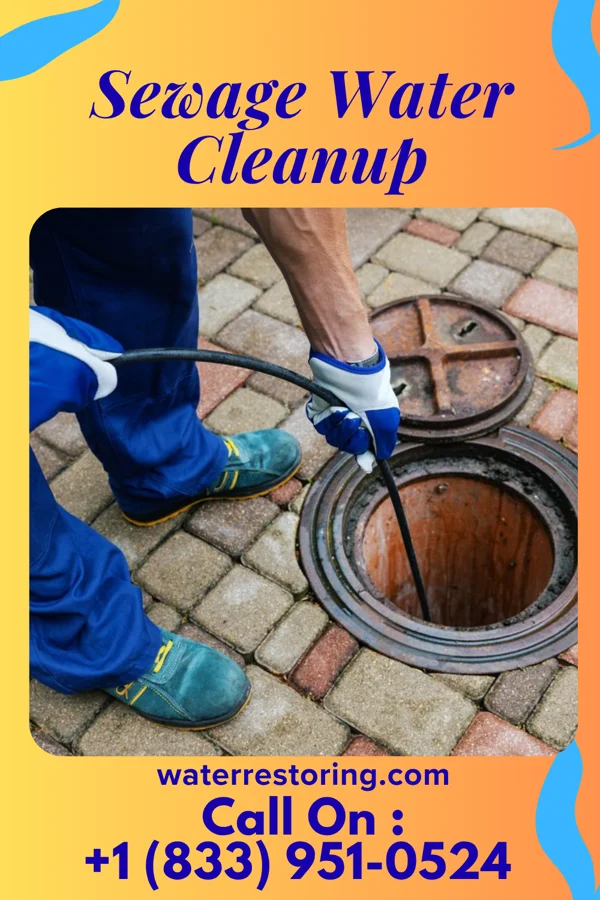 Sewage Water Cleanup in Prospect, KY